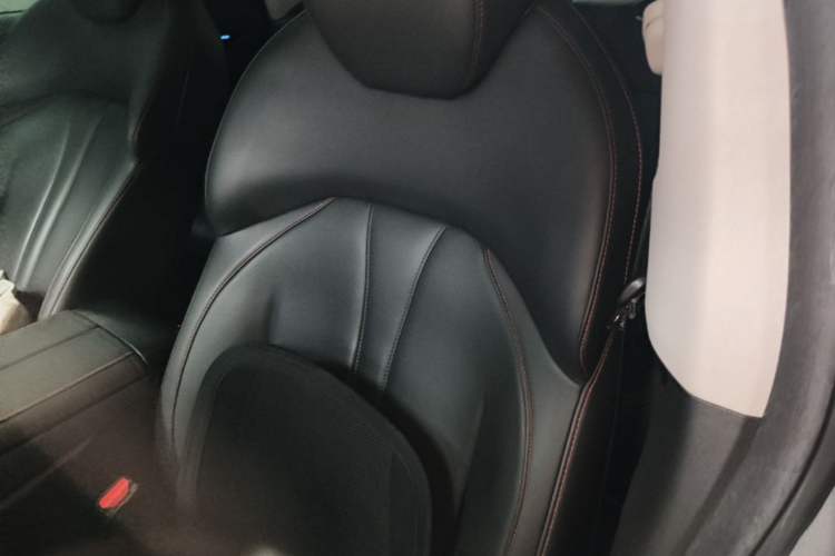 Used XPeng P7 2020 586E Left Front Seat