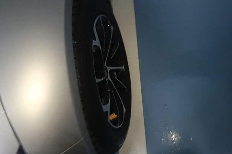 Used XPeng P7 2020 586N Left Front Wheel Hub