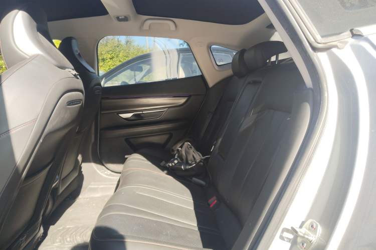 Used XPeng P7 2020 670E Left Rear Seat