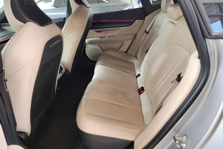 Used XPeng P7 2020 670N Left Rear Seat