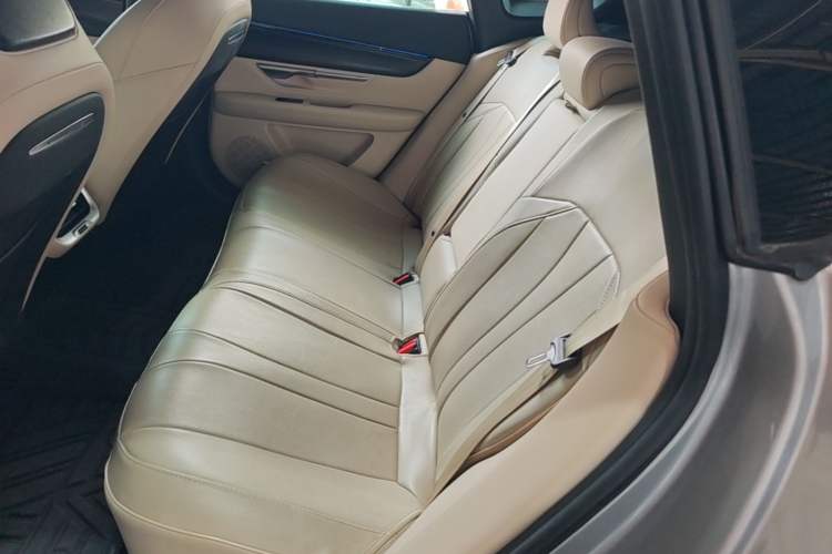 Used XPeng P7 2020 670N Left Rear Seat