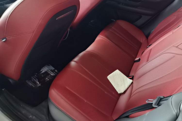 Used XPeng P7 2020 562E Performance Edition Left Rear Seat