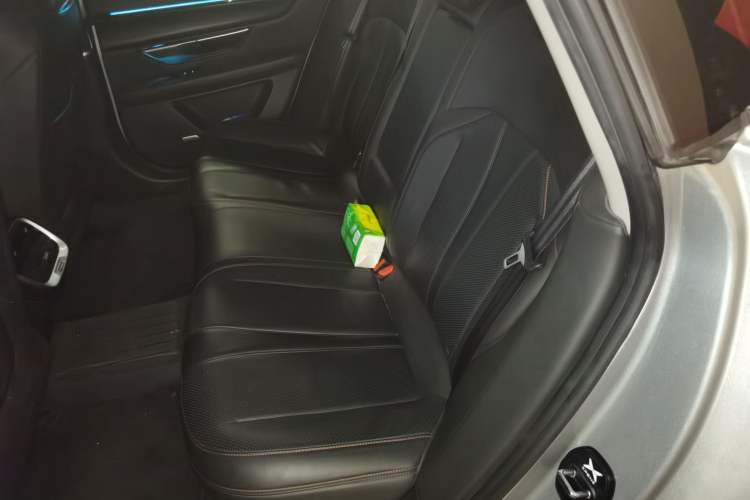 Used XPeng P7 2020 586E Left Rear Seat