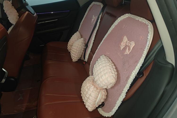 Used XPeng P7 2020 586N Left Rear Seat