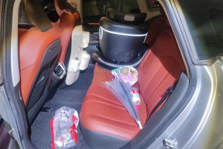 Used XPeng P7 2020 706G Left Rear Seat