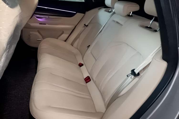 Used XPeng P7 2020 586N Left Rear Seat