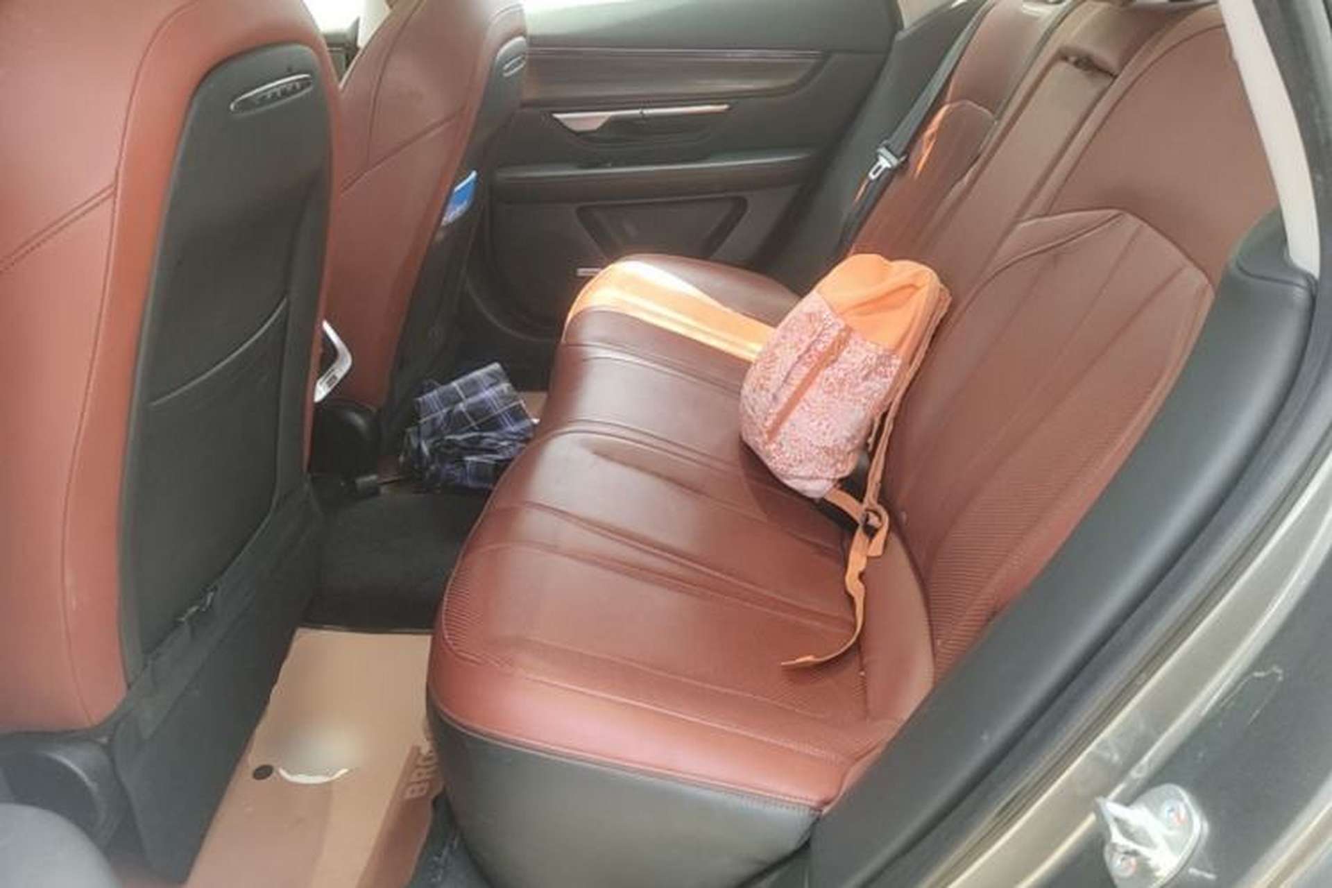 Used XPeng P7 2020 562E Performance Edition Left Rear Seat