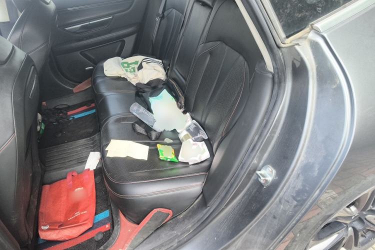Used XPeng P7 2020 670E Left Rear Seat