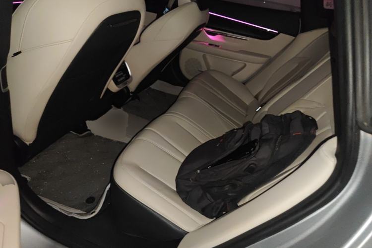 Used XPeng P7 2020 670E Left Rear Seat