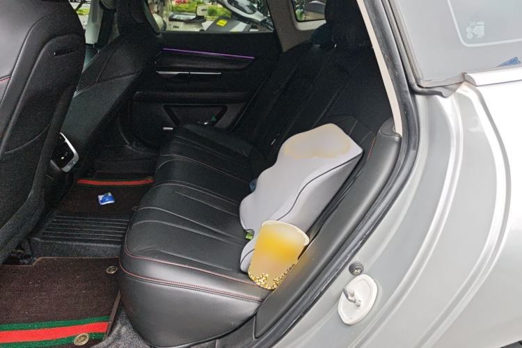 Used XPeng P7 2020 670E Left Rear Seat