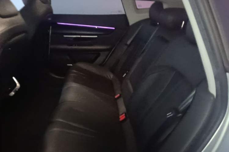Used XPeng P7 2020 586N Left Rear Seat