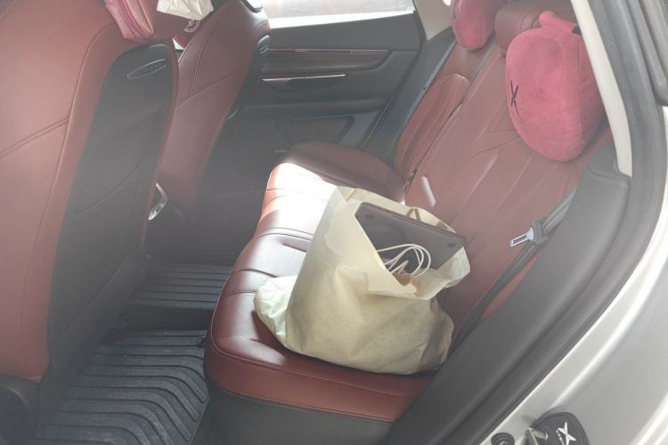 Used XPeng P7 2020 670N Left Rear Seat