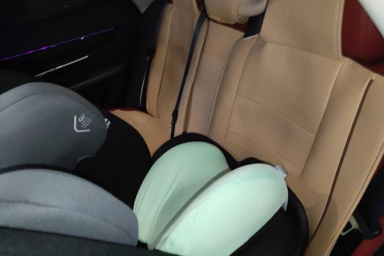 Used XPeng P7 2020 562E Performance Edition Left Rear Seat