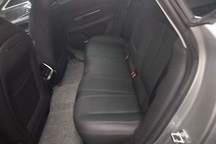 Used XPeng P7 2020 670N Left Rear Seat