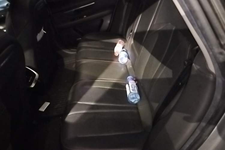 Used XPeng P7 2020 586E Left Rear Seat