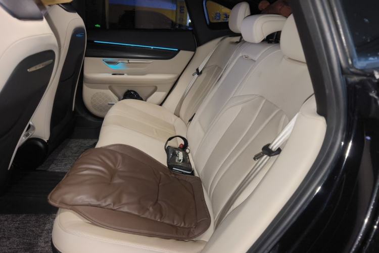 Used XPeng P7 2020 586N Left Rear Seat