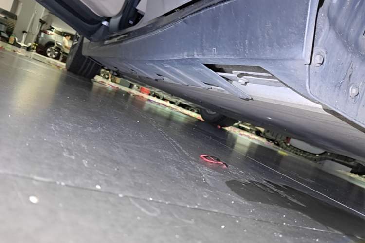 Used XPeng P7 2020 586N Left Side Sill