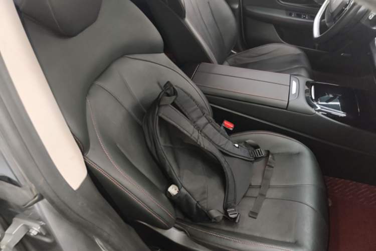 Used XPeng P7 2020 670E Right Front Seat