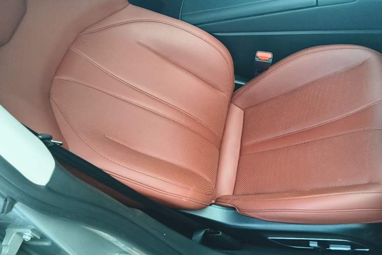Used XPeng P7 2020 670N Right Front Seat