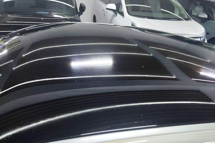 Used XPeng P7 2020 670N Roof