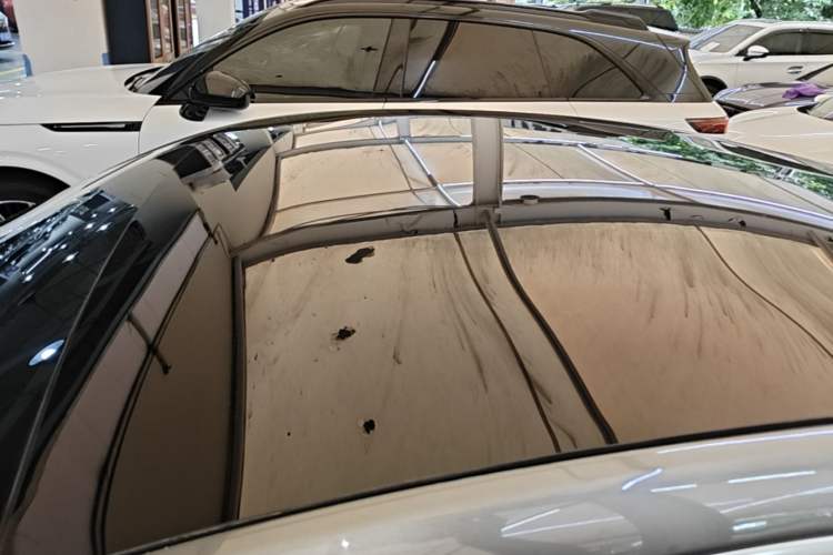 Used XPeng P7 2020 670E Roof