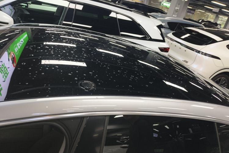 Used XPeng P7 2020 670N Roof