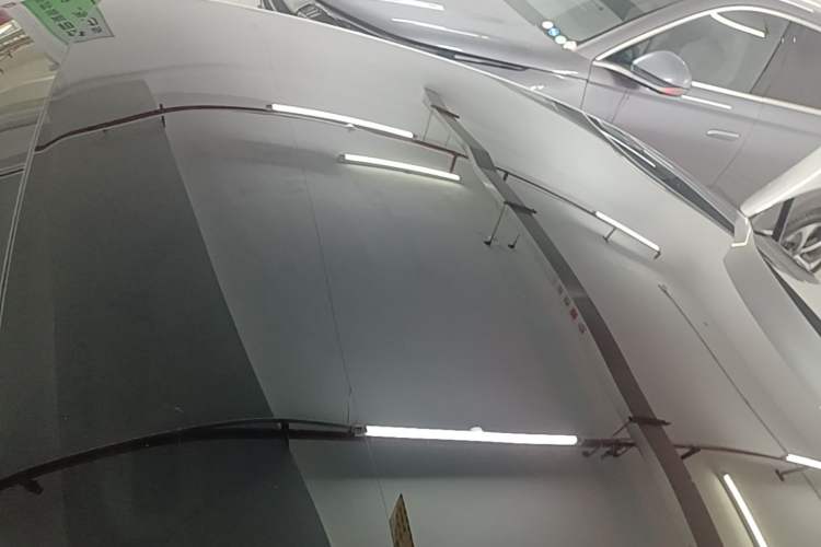 Used XPeng P7 2020 706G Roof