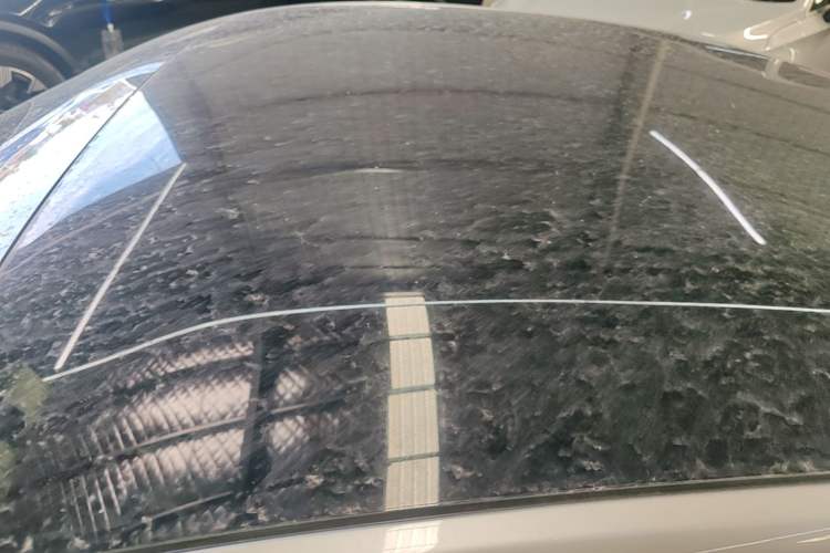Used XPeng P7 2020 670E Roof