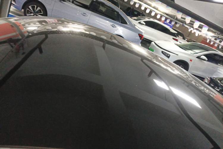 Used XPeng P7 2020 706G Roof