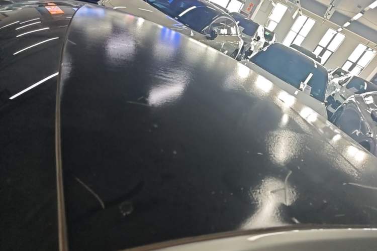 Used XPeng P7 2020 586E Roof
