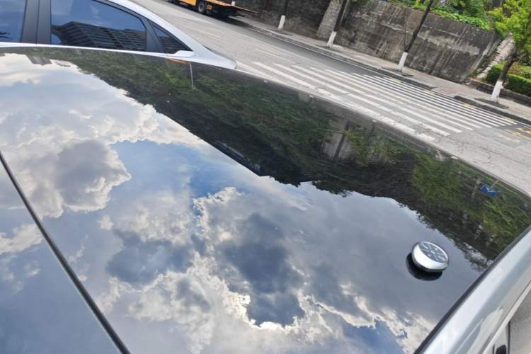 Used XPeng P7 2020 670N Roof