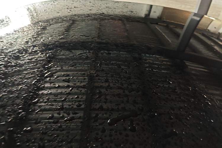 Used XPeng P7 2020 670N Roof