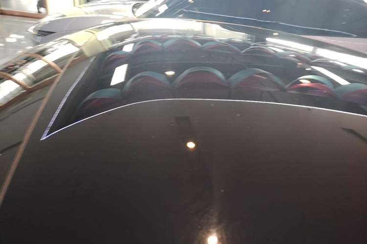 Used XPeng P7 2020 670N Roof