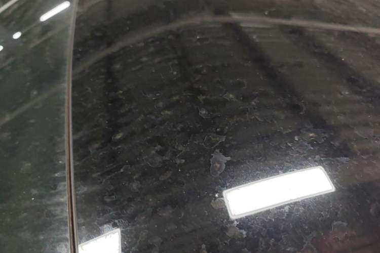 Used XPeng P7 2020 586N Roof