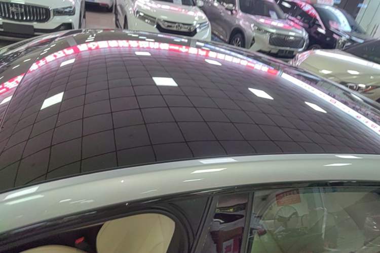 Used XPeng P7 2020 586E Roof