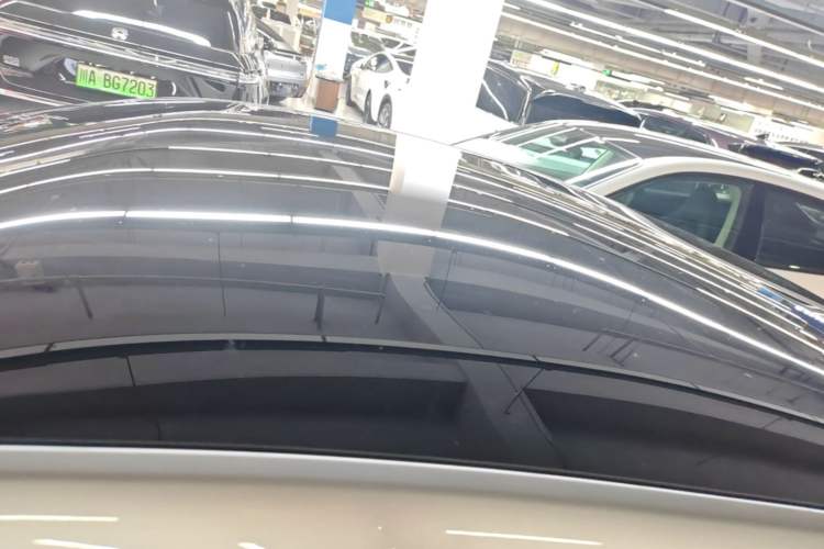 Used XPeng P7 2020 586N Roof
