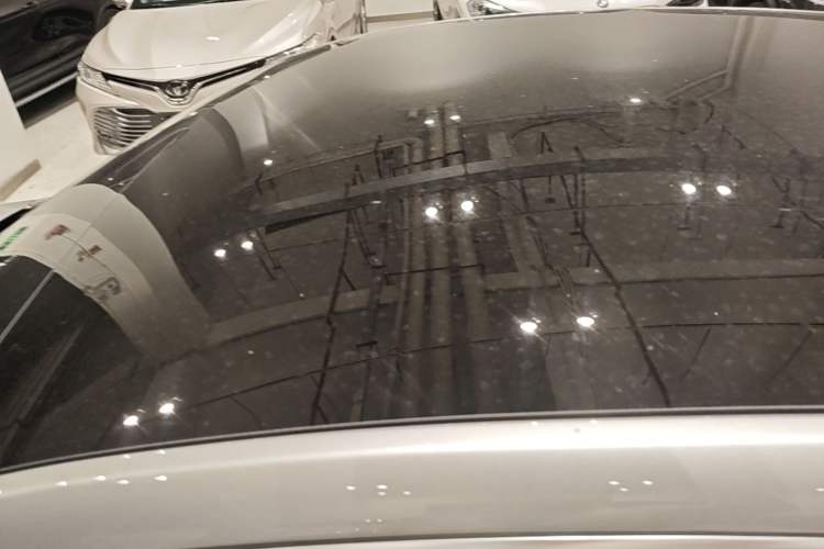 Used XPeng P7 2020 670N Roof