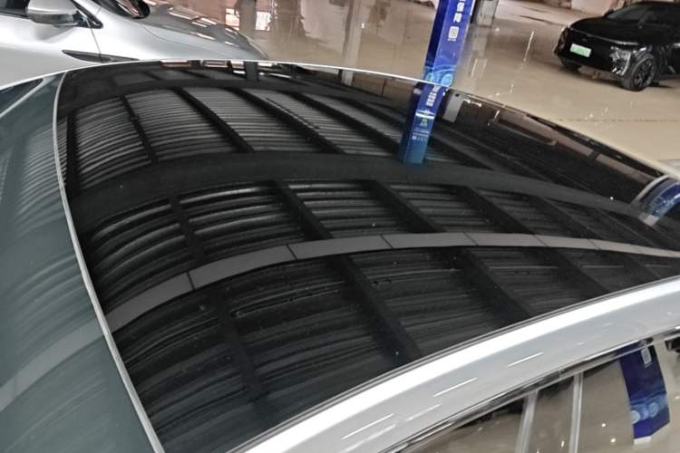 Used XPeng P7 2020 670N Roof