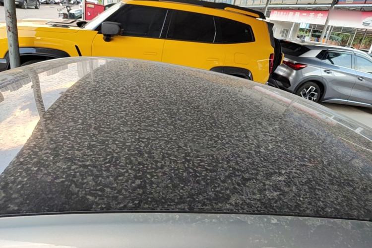 Used XPeng P7 2020 670N Roof