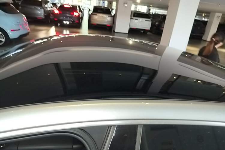 Used XPeng P7 2020 586N Roof