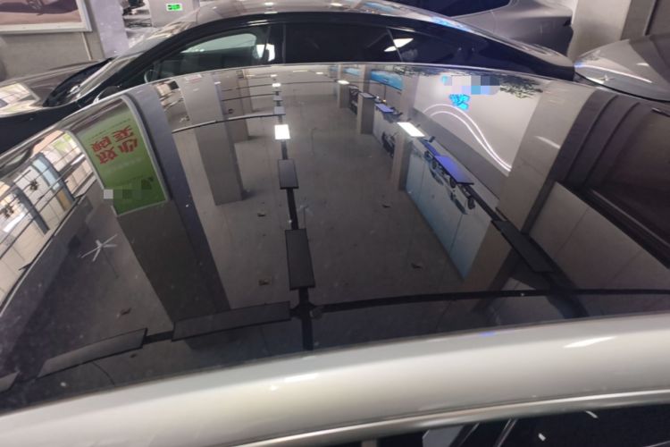 Used XPeng P7 2020 670N Roof