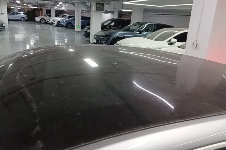 Used XPeng P7 2020 670N Roof