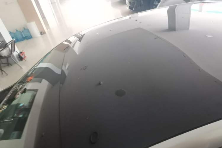 Used XPeng P7 2020 670E Roof