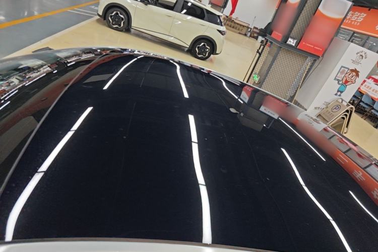 Used XPeng P7 2020 586E Roof