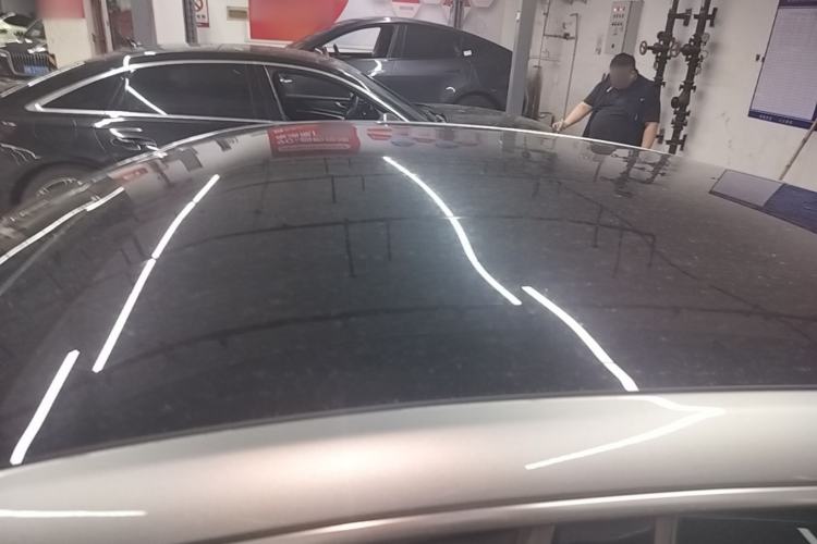 Used XPeng P7 2020 670N Roof