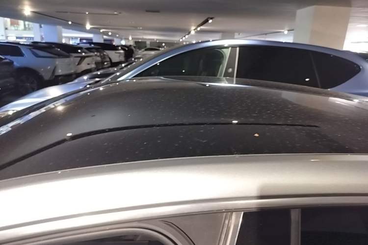 Used XPeng P7 2020 586E Roof