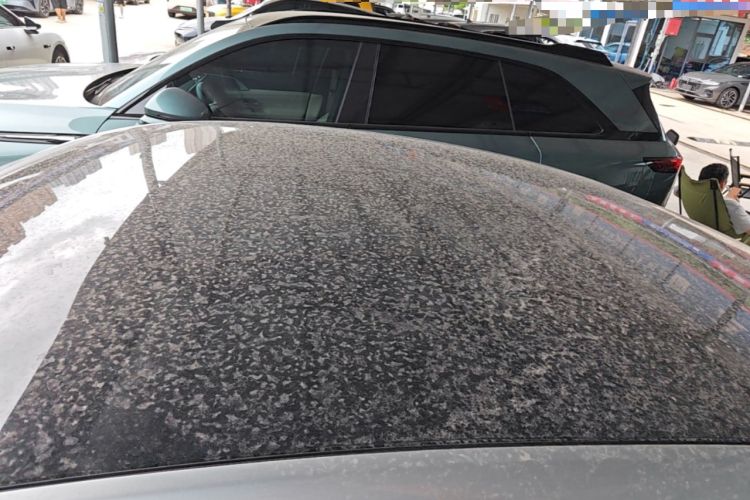 Used XPeng P7 2020 670N Roof
