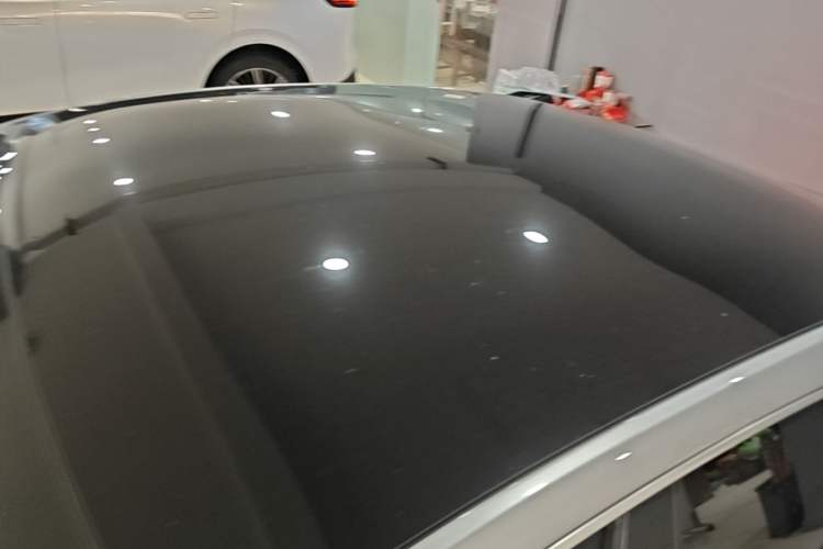 Used XPeng P7 2020 586N Roof