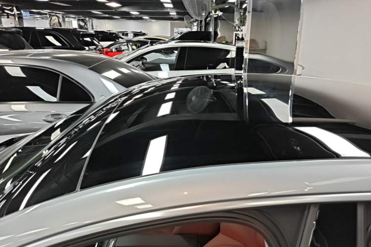 Used XPeng P7 2020 670N Roof