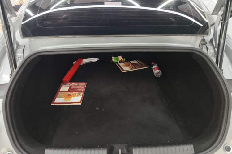 Used XPeng P7 2020 670E Trunk